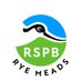 RSPB Rye Meads (@RSPBRyeMeads) Twitter profile photo