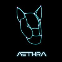 Aethra (@aethragame) 's Twitter Profile Photo Aethra (@aethragame) 's Twitter Profile Photo