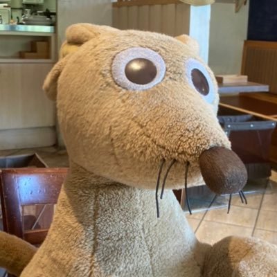 ROq2eai's profile picture. ASD息子作業所へ週一通所。HSC娘通信制高校1年