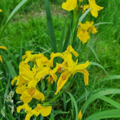 quemeneur3's profile picture. 