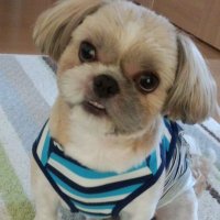 Rie (@_t_rie_114_) 's Twitter Profile