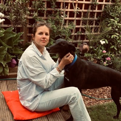 KReinthaller's profile picture. Immigrant | Theatremaker | Whiskeylover
IT'S THE ECONOMY, STUPID Pleasance Jack Dome until 26th August