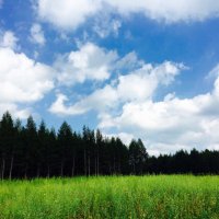 Jinhuili65 (@jinhui_li_thu) 's Twitter Profile