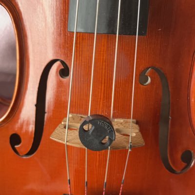 Bratsche_Vla's profile picture. ここで見た事は全て忘れて現実の世界を生きなさい