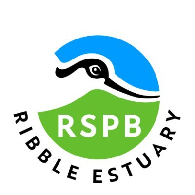 RSPB Ribble Estuary