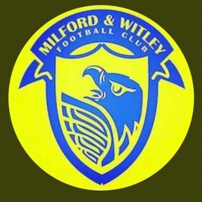 Milford and Witley Ladies FC