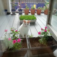 Mr miffles (not actually Rain man) (@mmiffles) 's Twitter Profile
