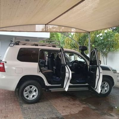 Scoss17's profile picture. 