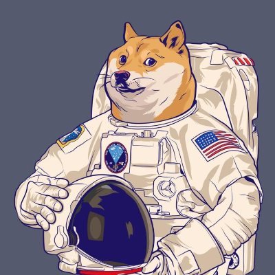 lingfeng1563's profile picture. 