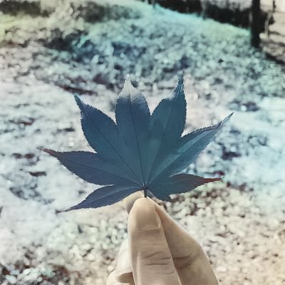모사さんのプロフィール画像