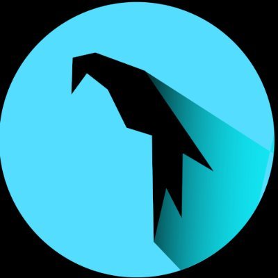 pirataspaziale's profile picture. 