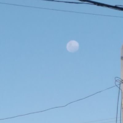 GeorgeQM7's profile picture. 