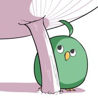 小鳥 由羽🦜🔞向け (@2irotoricotori) 's Twitter Profile Photo 小鳥 由羽🦜🔞向け (@2irotoricotori) 's Twitter Profile Photo