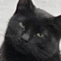 chaus (@chaus_eth) 's Twitter Profile