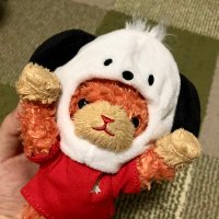いまさく@固定ツイートご確認ください (@now_meowcat) 's Twitter Profile