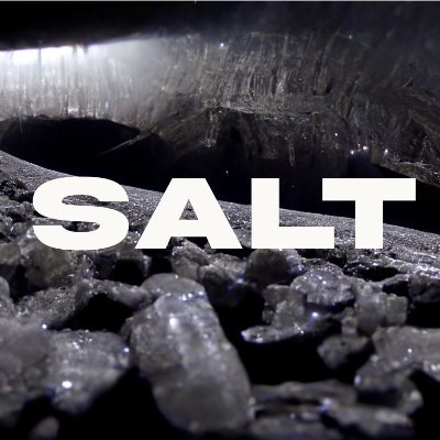 SALT is the world's first fully AI-generated multiplot 