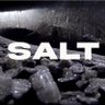 SALT_VERSE's profile picture. SALT is the world's first fully AI-generated multiplot "film" - a web6 internet adventure where your choices create a 1970s lo-fi sci-fi universe.