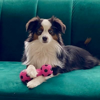 soulprovider915's profile picture. Christian / 1&2A / Married / CDL A / God Will Make A Way Where There Doesn’t Seem To Be A Way / 🚫DM / FB @Loudobbs @GenFlynn @RitaCosby @RealDrGina