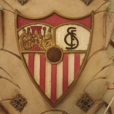 Sevillista valenciano. Soldado de Don Fernando Reges y Don Julen Lopetegui Agote. Bioquímica y Ciencias Biomédicas UV.