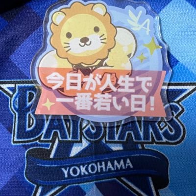 ⚾️野球観戦💰お金の勉強⚾️横浜DeNAベイスターズ☆キャンパー⛺️SP500、オルカン、今日が人生で一番若い日！ 40代でサイドFIRE目標☆リベ大生🦁むし活🐛学童野球スタッフ   インスタで子供達の⚾️💃成長記録載せてます🎥