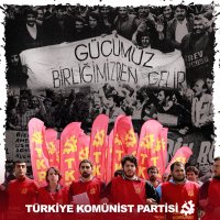 alicandç (@alicandc) 's Twitter Profile