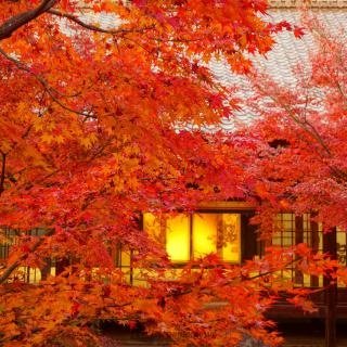 BKWY1127's profile picture. 20↑
身内垢

神創作者(イラスト,SS,漫画etc)をフォローしがち

TS美少女吸血鬼(タバコ、ピアスバチバチ、ゴツいブーツ、サイバーパンク、鋼線使い、切れ長目、刈り上げインナーカラーボブ)になりたい人類