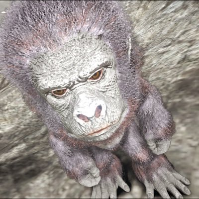 sirochanisGoD's profile picture. 