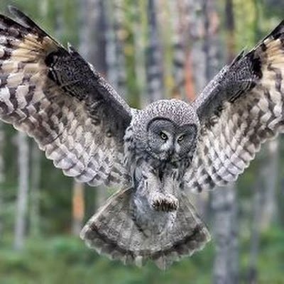 j_lora1985's profile picture. 