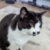 Scrabble (@scrabletower8) Twitter profile photo Scrabble (@scrabletower8) Twitter profile photo