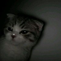 hin (@rzqljfri) 's Twitter Profile