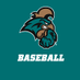 Coastal Baseball (@CoastalBaseball) Twitter profile photo