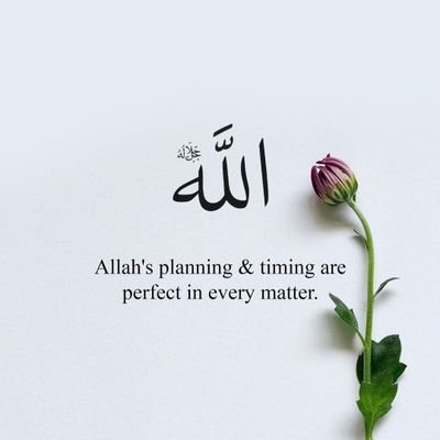 Leave something for Allah but never leave Allah for something.