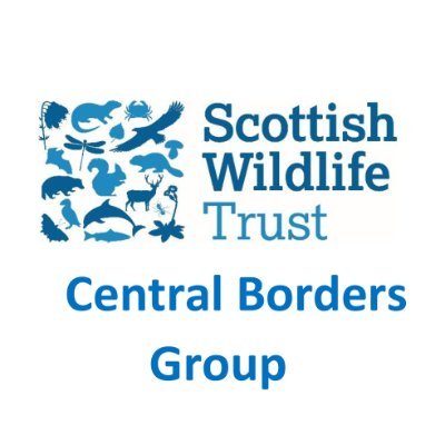 SWT group covering the Central Borders. We'd love to share your photos of our wonderful reserves, please send to: swtborderssocialmedia@gmail.com