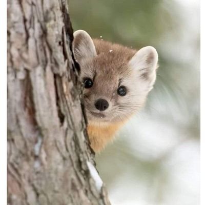 joket14ksh's profile picture. 왜곡,날조된 이재명대표님에 대한 진실을 대선전에야 알게되어 뒤늦게 지지하게 되었습니다.
민주당 권리당원이며 이전에는 댓글도 달지못하는 소심이였지만 이제는 빚진 마음으로 정치에 관심을 두고 미력한 힘이라도 보탬이 되도록 애쓰려합니다.
윤석열.김건희가 파멸하는 그날까지.