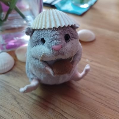 Rock/Metall/Punk Hamster,
Widerständler,
Mama's Liebling,
Unzucht Fan,
Ravenclaw, 
2016