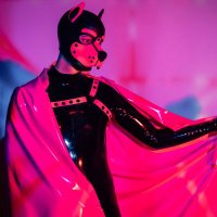 RAPID (@pup_rapid) 's Twitter Profile