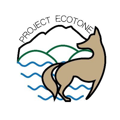 Project ECOTONE uses camera traps to document land animals foraging on California beaches to increase our understanding of coastal habitat connectivity.
