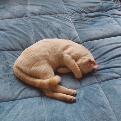 Marito2200's profile picture. 