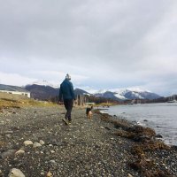 Felipe Sasso (@fjsasso) 's Twitter Profile