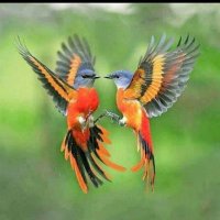 فهد (@ffaa20304) Twitter profile photo