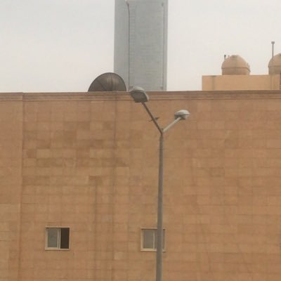 MesyerAlotit's profile picture. اصمت لتتعلم