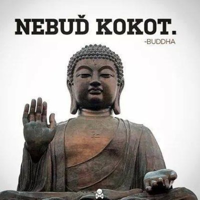 MoWarran's profile picture. Děda říkával, "Nejdůležitější je, nebejt kokot chlapče."