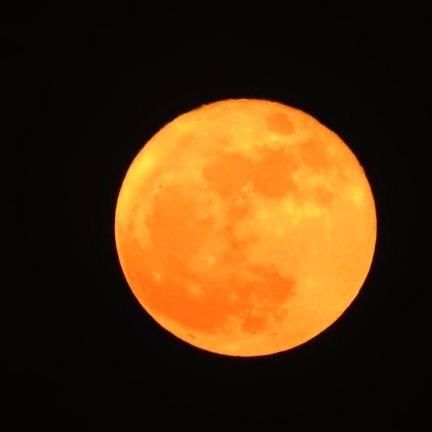 sarangkoli007's profile picture. Rock on!