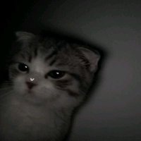 ZZZZZZ (@hadeszzzzzzz) 's Twitter Profile