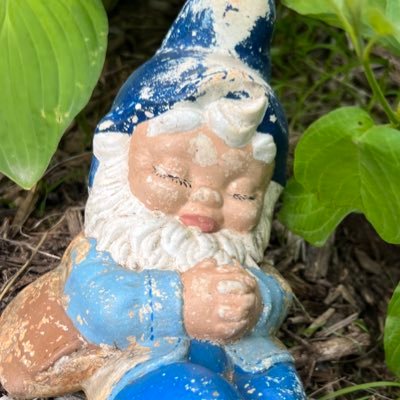 GARDEN_GNOME