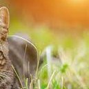 poise123e's profile picture. 