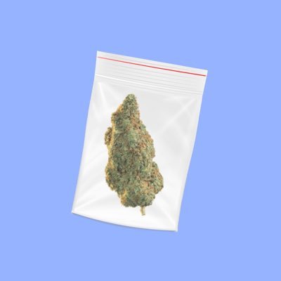 PolygonSilkRoad's profile picture. Da silk