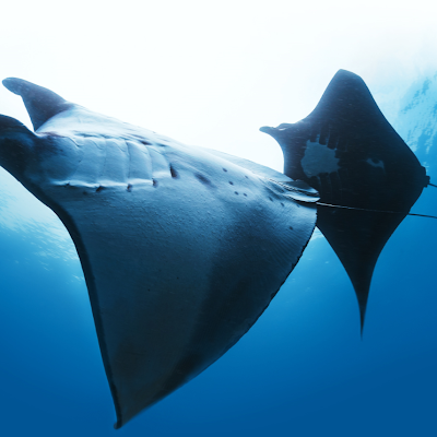 FramesetU's profile picture. 