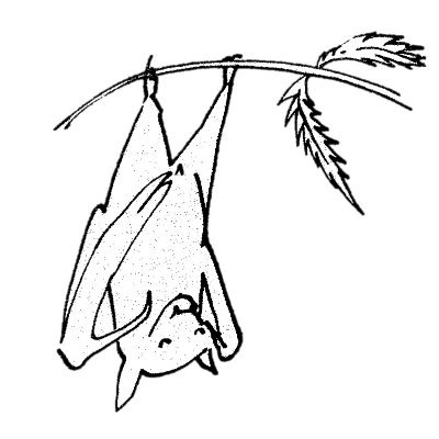 hashishcookbook's profile picture. Historian
Weird mix of humor, edibles, & history
Hac#009