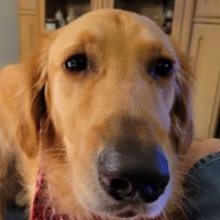 Edward Mallon (@edwardmallon5) 's Twitter Profile Photo